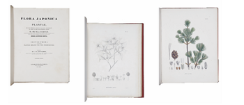 シーボルト編 『日本植物史』 全2巻.png